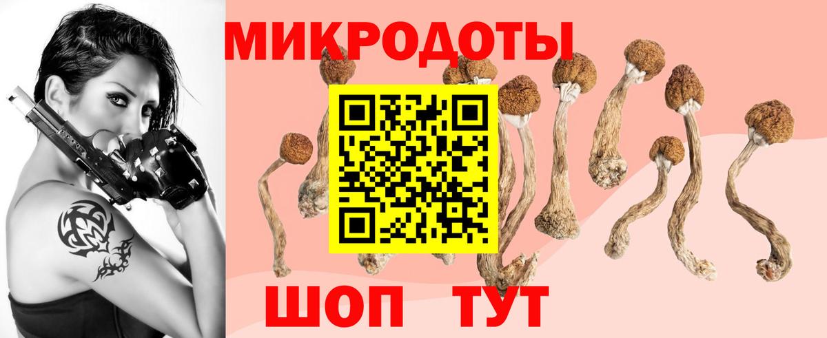 Галлюциногенные грибы MAGIC MUSHROOMS Вичуга